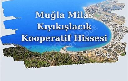 MUĞLA MİLAS KIYIKIŞLACIK' DA YATIRIM FIRSATI