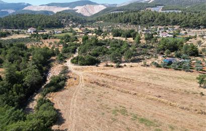 Muğla Milas Karayolu Üzeri Satılık Tarla