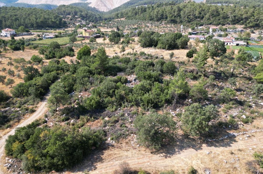 Muğla Milas Karayolu Üzeri Satılık Tarla