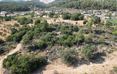 Muğla Milas Karayolu Üzeri Satılık Tarla