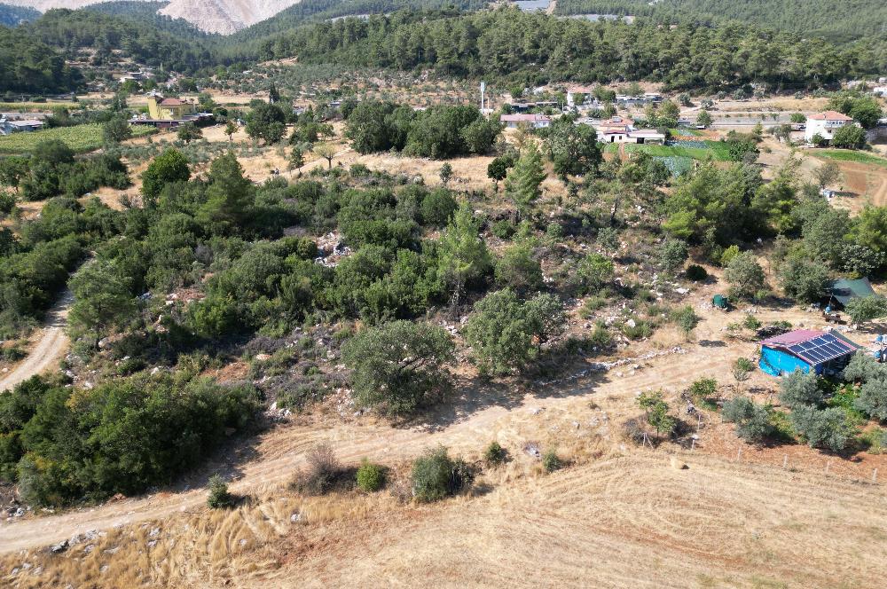 Muğla Milas Karayolu Üzeri Satılık Tarla