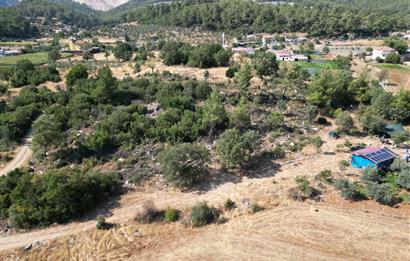 Muğla Milas Karayolu Üzeri Satılık Tarla