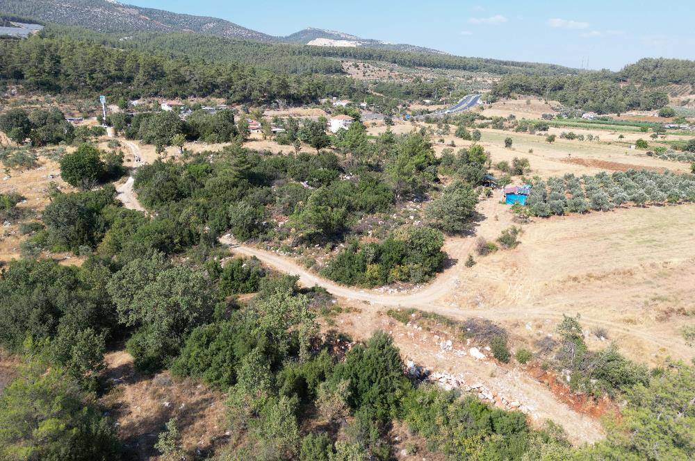 Muğla Milas Karayolu Üzeri Satılık Tarla