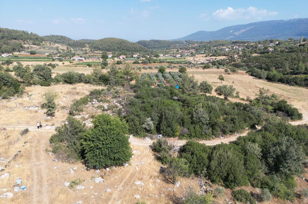Muğla Milas Karayolu Üzeri Satılık Tarla