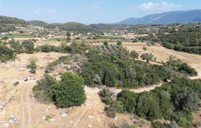 Muğla Milas Karayolu Üzeri Satılık Tarla