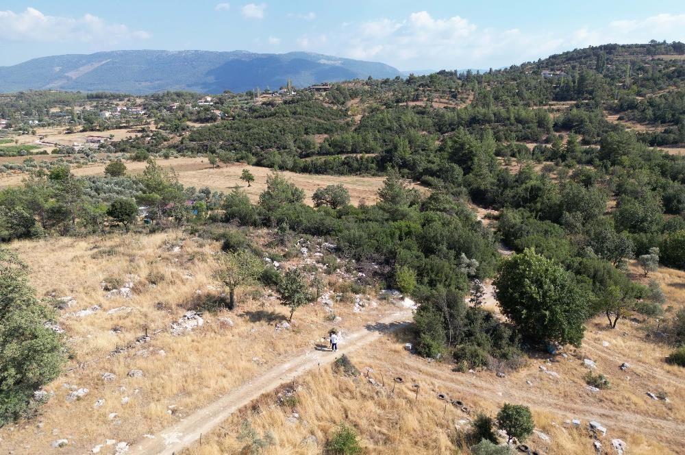 Muğla Milas Karayolu Üzeri Satılık Tarla