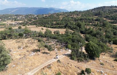 Muğla Milas Karayolu Üzeri Satılık Tarla