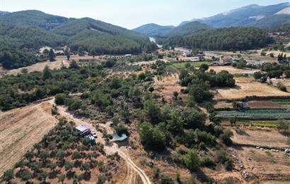 Muğla Milas Karayolu Üzeri Satılık Tarla