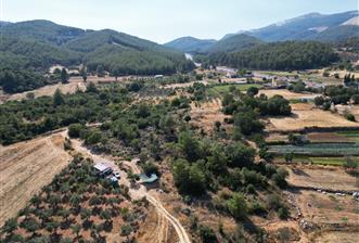 Muğla Milas Karayolu Üzeri Satılık Tarla