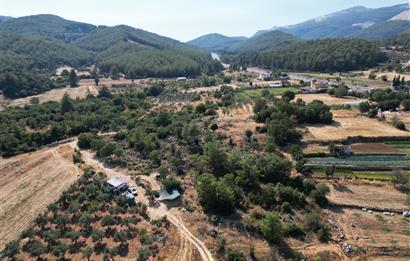 Muğla Milas Karayolu Üzeri Satılık Tarla