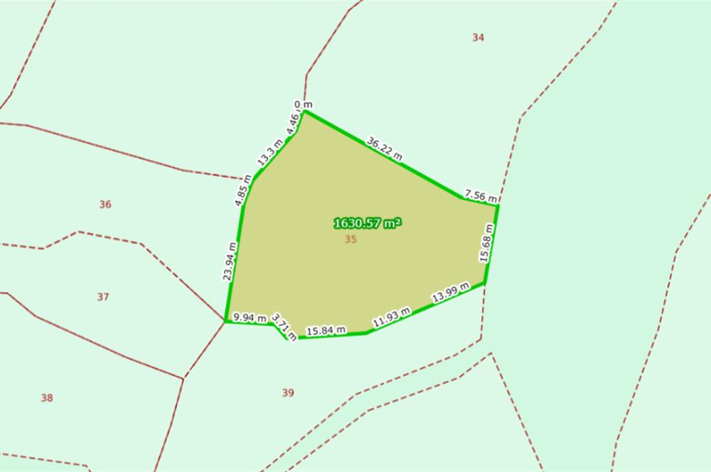 C21 Cius; Katırlı 1630m² Yola Cephe Satılık Bakımlı Zeytinlik