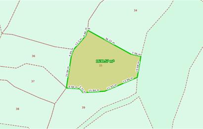 C21 Cius; Katırlı 1630m² Yola Cephe Satılık Bakımlı Zeytinlik