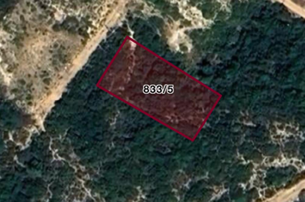 DİDİM/AKYENİKÖY’DE 612 M2, BAFA GÖLÜ MANZARALI, SATILIK KÖŞVİLLA ARSASI