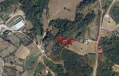 Kirazlıda Kaçırılmayacak Yatırım Fırsatı - 2.765 m2 Bağ