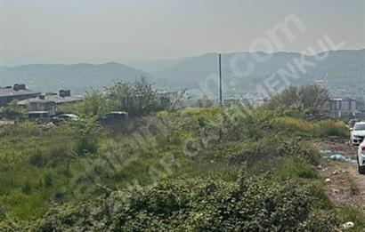 YALOVA KADIKÖY'DE GENİŞ İNŞAAT ALANINA SAHİP BENZERSİZ ARSA