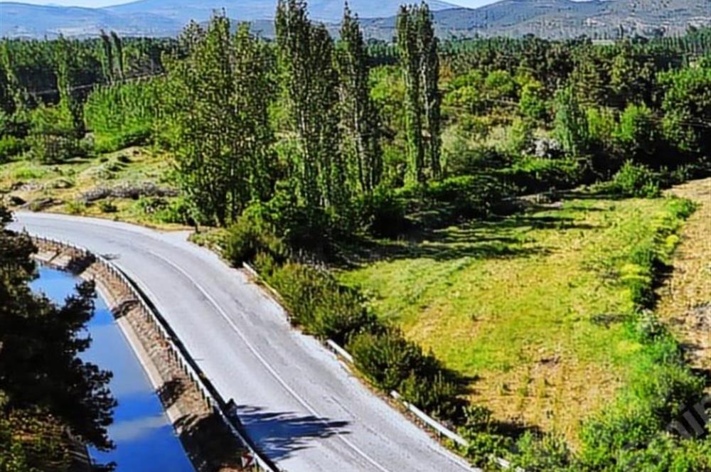 BALIKESİR SINDIRGI CÜNEYT (BAYIRLI) MAH. SATILIK VERİMLİ TARLA