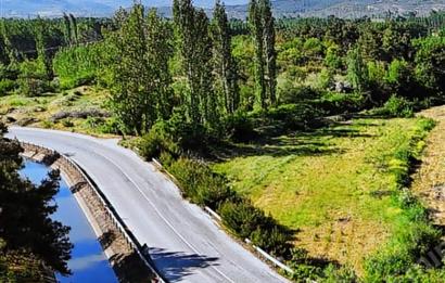 BALIKESİR SINDIRGI CÜNEYT (BAYIRLI) MAH. SATILIK VERİMLİ TARLA