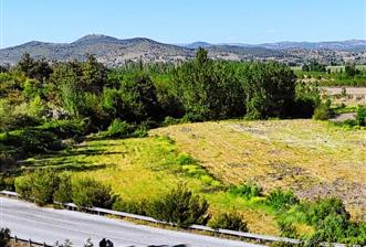 BALIKESİR SINDIRGI CÜNEYT (BAYIRLI) MAH. SATILIK VERİMLİ TARLA