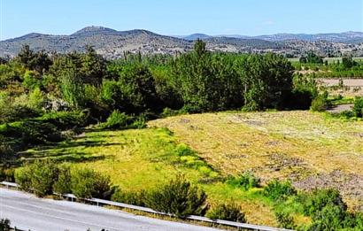 BALIKESİR SINDIRGI CÜNEYT (BAYIRLI) MAH. SATILIK VERİMLİ TARLA