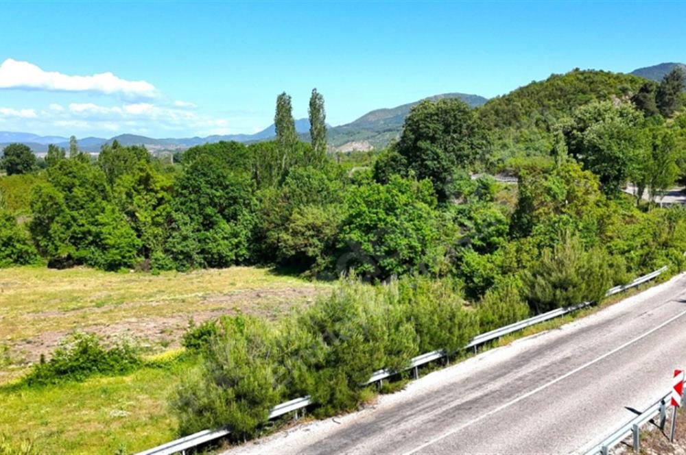 BALIKESİR SINDIRGI CÜNEYT (BAYIRLI) MAH. SATILIK VERİMLİ TARLA