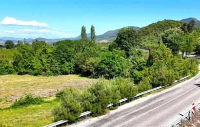 BALIKESİR SINDIRGI CÜNEYT (BAYIRLI) MAH. SATILIK VERİMLİ TARLA