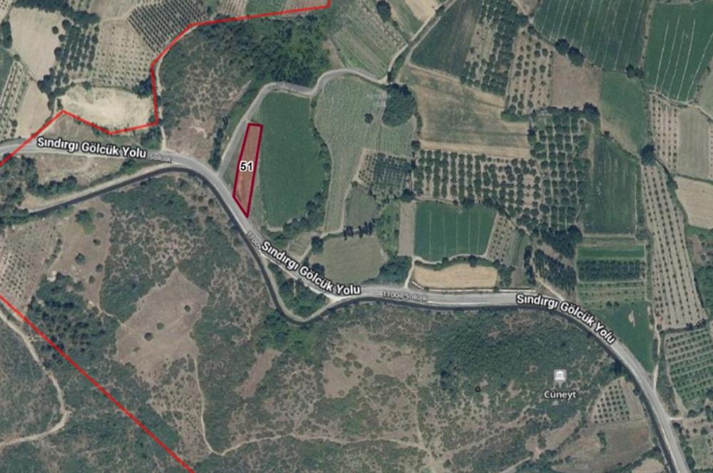 BALIKESİR SINDIRGI CÜNEYT (BAYIRLI) MAH. SATILIK VERİMLİ TARLA