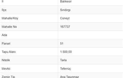 BALIKESİR SINDIRGI CÜNEYT (BAYIRLI) MAH. SATILIK VERİMLİ TARLA