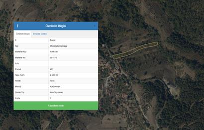 C21 NOVO'DAN BURSA MUSTAFAKEMALPAŞA'DA 7 TAPU TEK FİYAT