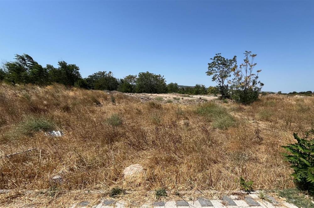 CENTURY 21 BAL'DAN SUSURLUK HAN MAHALLESİNDE SATILIK ARSA