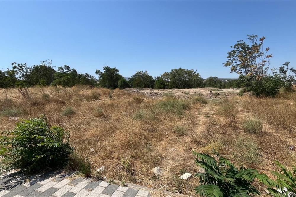 CENTURY 21 BAL'DAN SUSURLUK HAN MAHALLESİNDE SATILIK ARSA