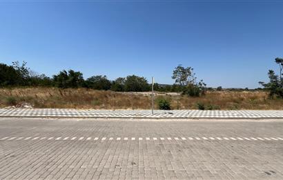 CENTURY 21 BAL'DAN SUSURLUK HAN MAHALLESİNDE SATILIK ARSA