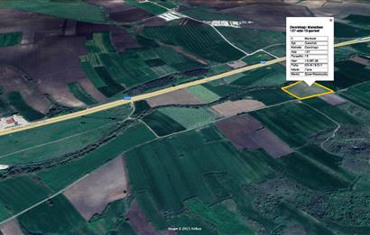 CENTURY 21 BAL SUSURLUK DEMİRKAPI SATILIK TARLA 13 DÖNÜM 