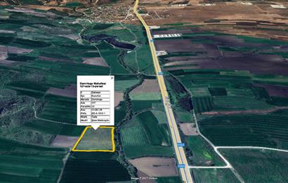 CENTURY 21 BAL SUSURLUK DEMİRKAPI SATILIK TARLA 13 DÖNÜM 