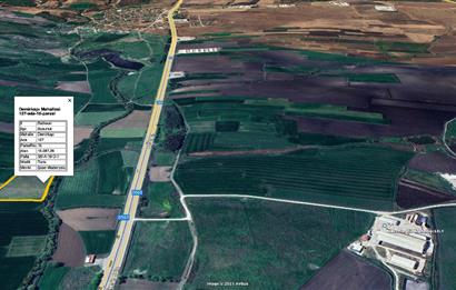 CENTURY 21 BAL SUSURLUK DEMİRKAPI SATILIK TARLA 13 DÖNÜM 