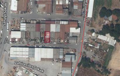 CENTURY21 BAL'DAN KEPSUT'TA SATILIK SANAYİ ARSASI