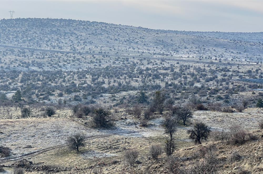 BEYPAZARI KARAŞAR YATIRIMLIK ARSA *VİLLA İMARLI, 307m2* 