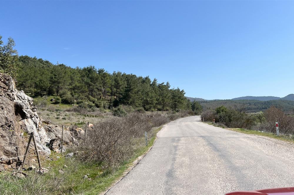 İZMİR BERGAMA SATILIK TARLA 1.988 m2 *YOLU AÇIK, ELEKT+SU_120m*