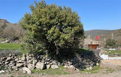 İZMİR BERGAMA SATILIK TARLA 1.988 m2 *YOLU AÇIK, ELEKT+SU_120m*