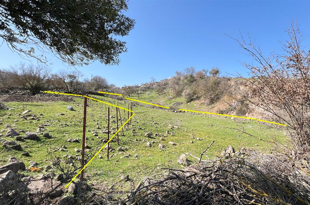 İZMİR BERGAMA SATILIK TARLA 1.988 m2 *YOLU AÇIK, ELEKT+SU_120m*