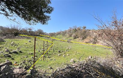 İZMİR BERGAMA SATILIK TARLA 1.988 m2 *YOLU AÇIK, ELEKT+SU_120m*