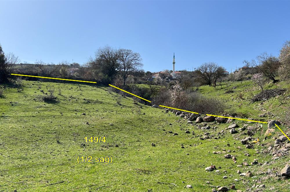 İZMİR BERGAMA SATILIK TARLA 1.988 m2 *YOLU AÇIK, ELEKT+SU_120m*