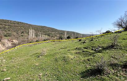 İZMİR BERGAMA SATILIK TARLA 1.988 m2 *YOLU AÇIK, ELEKT+SU_120m*