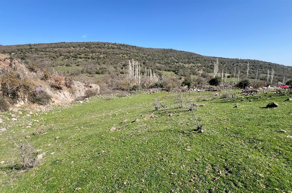 İZMİR BERGAMA SATILIK TARLA 1.988 m2 *YOLU AÇIK, ELEKT+SU_120m*