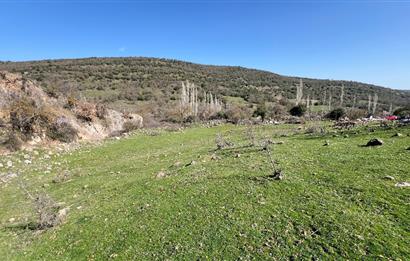 İZMİR BERGAMA SATILIK TARLA 1.988 m2 *YOLU AÇIK, ELEKT+SU_120m*