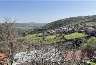 İZMİR BERGAMA SATILIK TARLA 1.988 m2 *YOLU AÇIK, ELEKT+SU_120m*