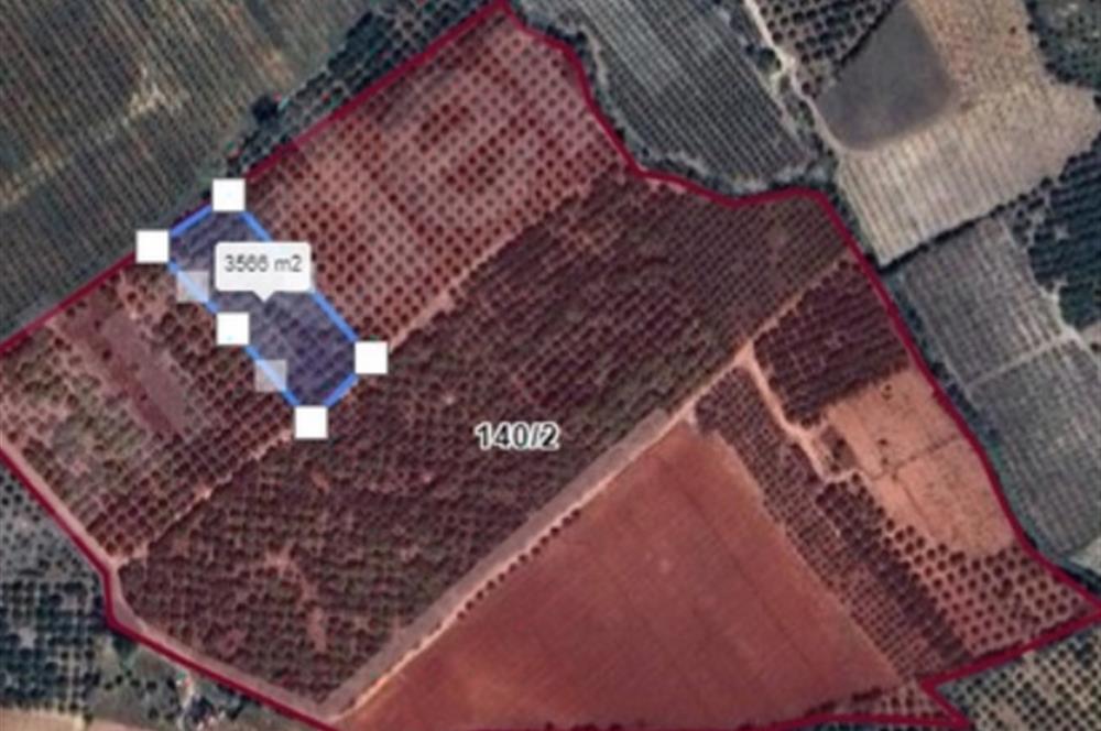 IĞDIR MAH. 3570 M² SINIRLARI BELİRLİ YATIRIMLIK TARLA