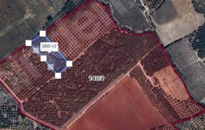 IĞDIR MAH. 3570 M² SINIRLARI BELİRLİ YATIRIMLIK TARLA
