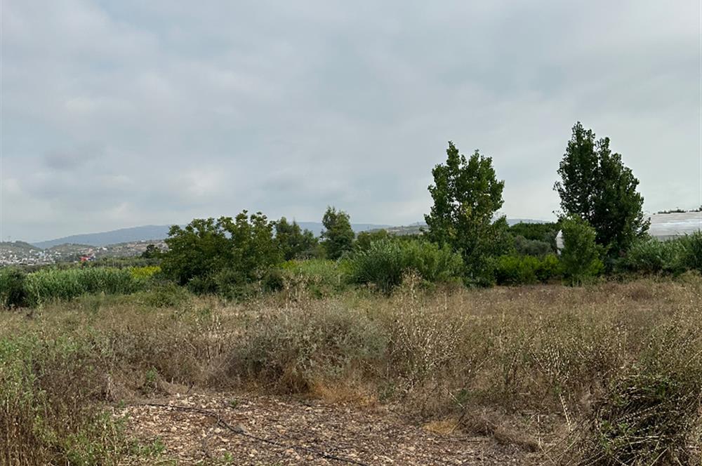 IĞDIR MAH. 10330 M² SINIRLARI BELİRLİ YATIRIMLIK BAHÇE