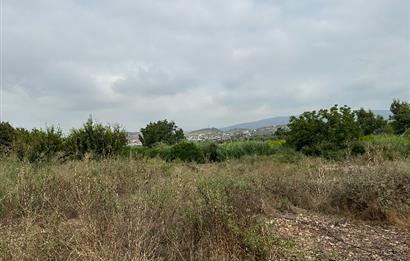 IĞDIR MAH. 10330 M² SINIRLARI BELİRLİ YATIRIMLIK BAHÇE
