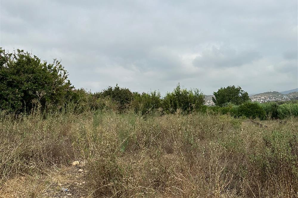 IĞDIR MAH. 10330 M² SINIRLARI BELİRLİ YATIRIMLIK BAHÇE